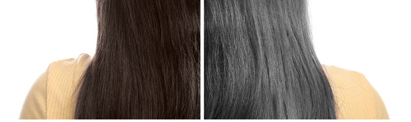 Is It Possible to Reverse Gray Hair? What the Science Says