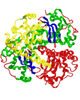 Catalase