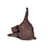 Fo-Ti_Root