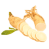 Ginseng