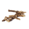 Nettle_Root