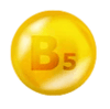 Pantothenic_Acid