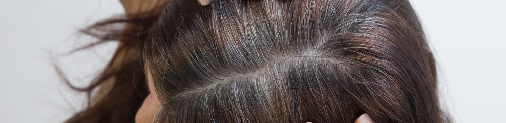 Going Gray: 15 Facts About Gray Hair That You Need To Know