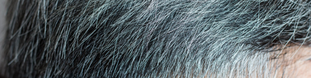 Gray Hair and White Hair: Causes and Ways to Prevent It