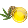 Hemp_Seed_Oil